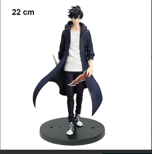Solo Leveling Sung Jin-Woo standing